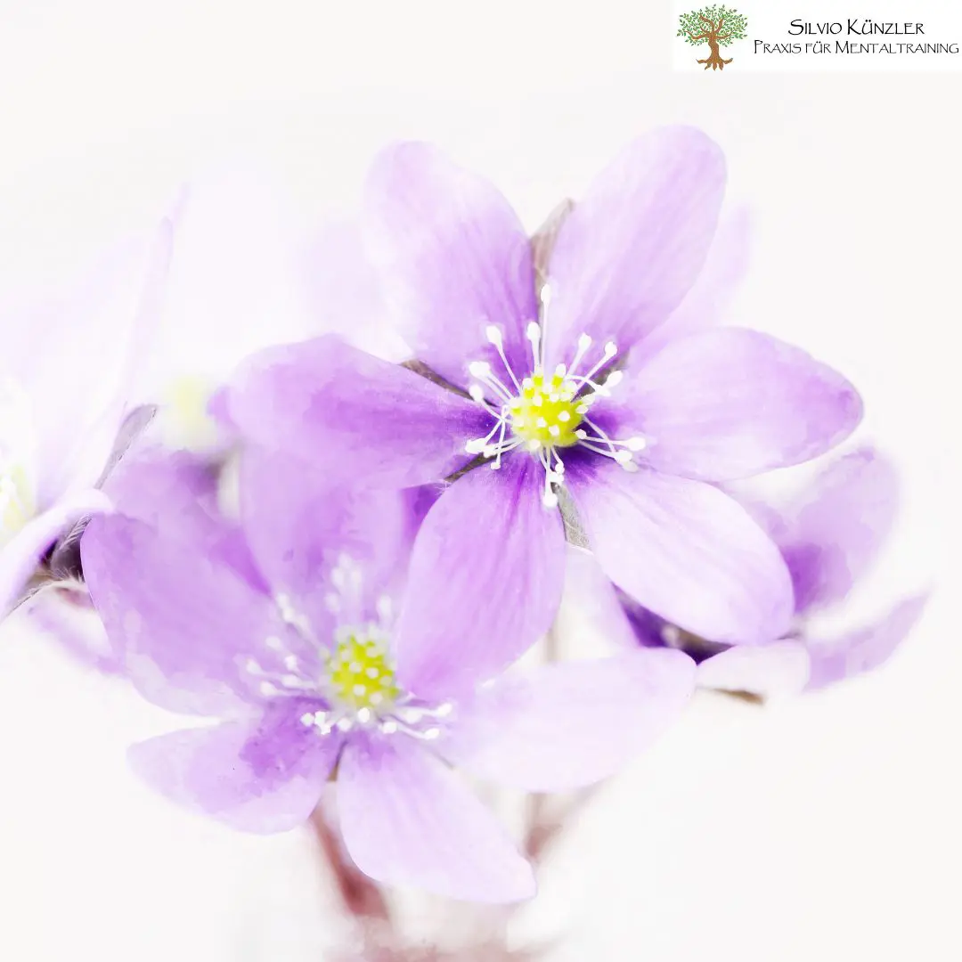 Foto Silvio Künzler - Praxis für Mentaltraining