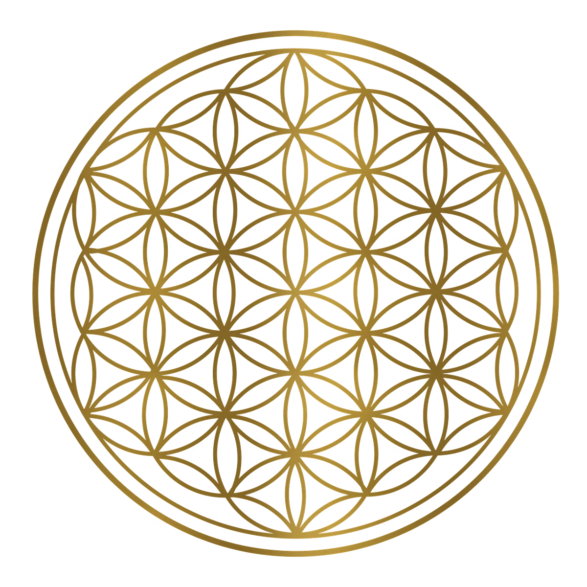 Logo Uwe Sujata